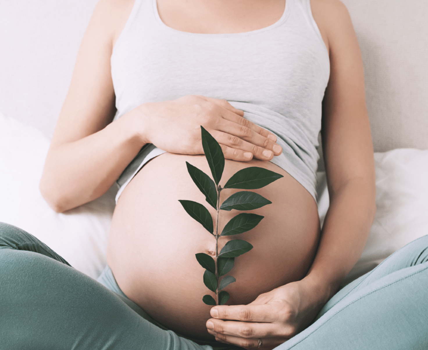 Pregnant woman holding leaf