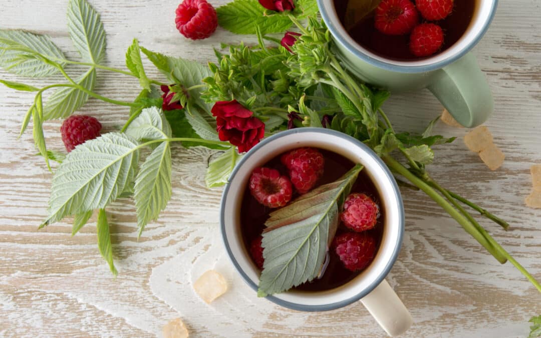 raspberry leaf tea