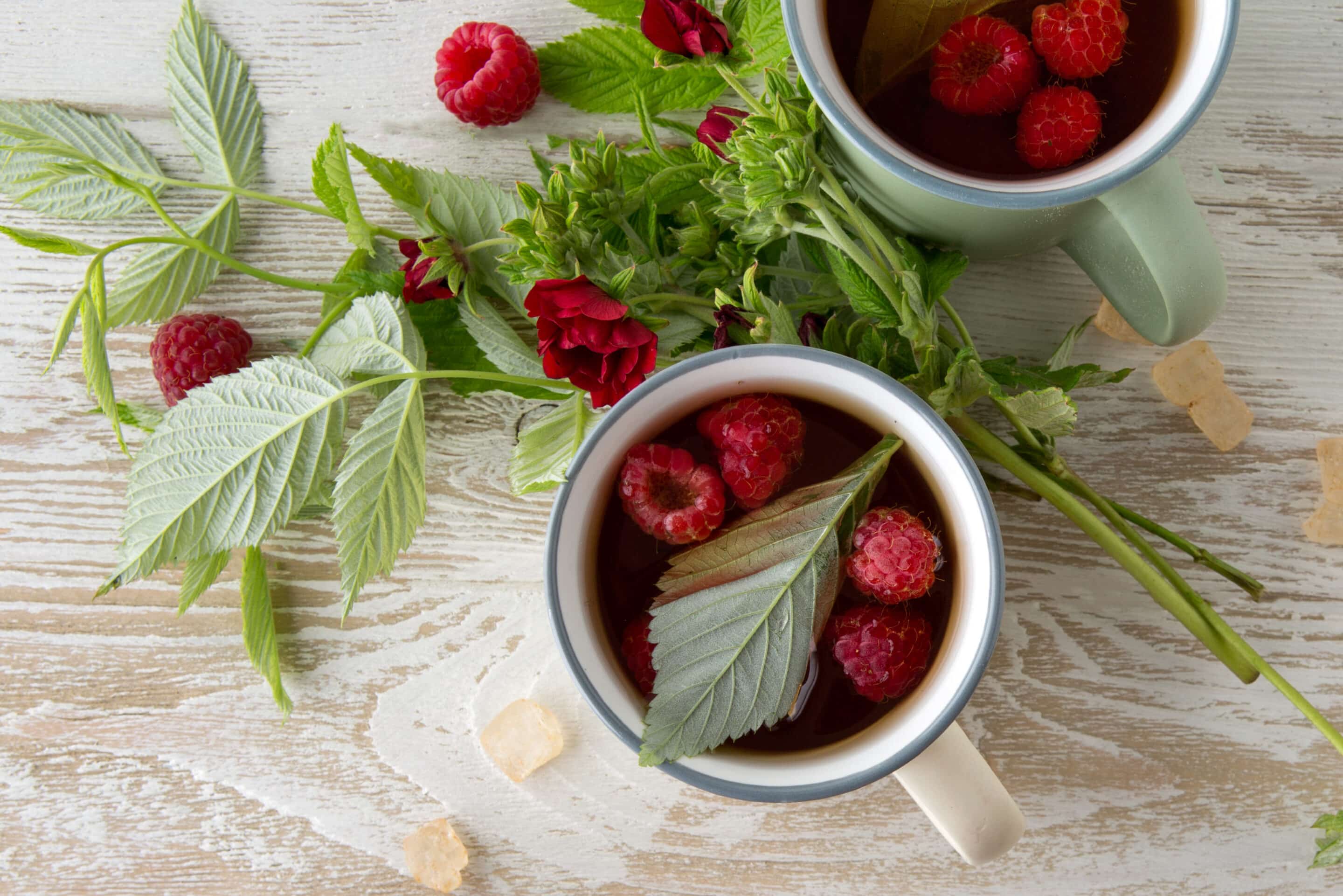 raspberry leaf tea